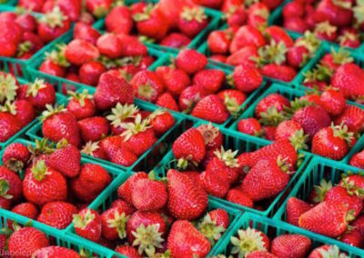 U-Pick & Markets Self Guided Tour